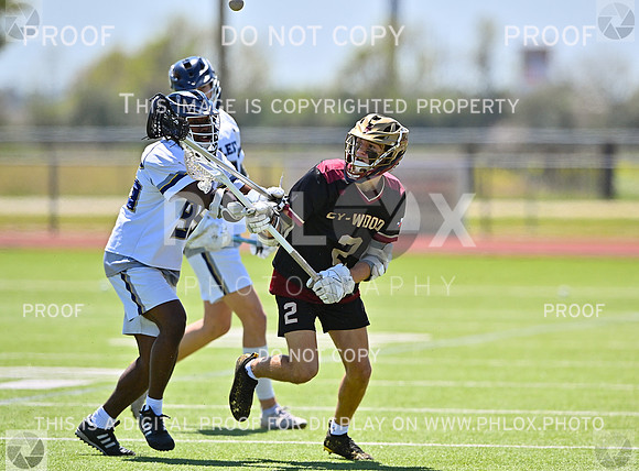 DLS_7659