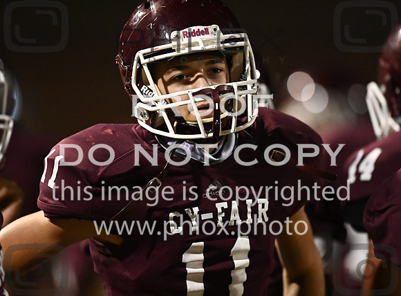 DLS_7521
