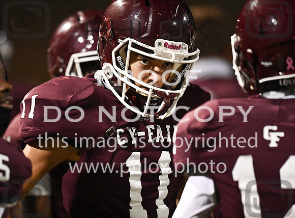 DLS_7520