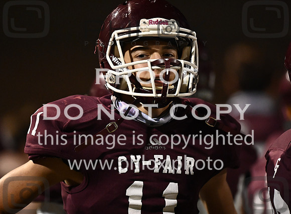 DLS_7522