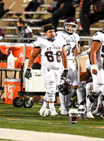 DLS_3864