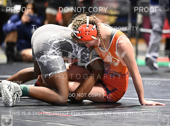DLS_6766