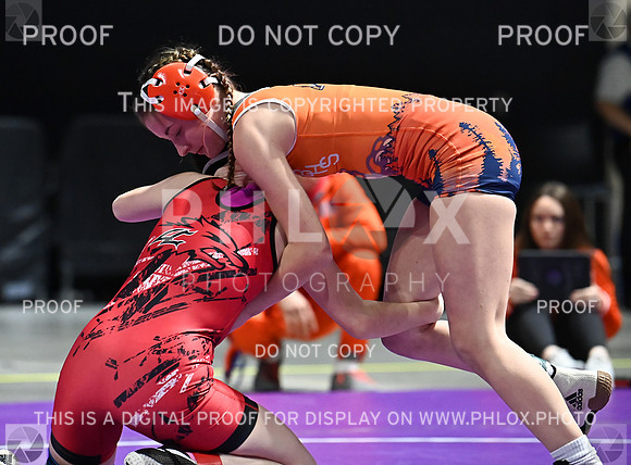 DLS_6070
