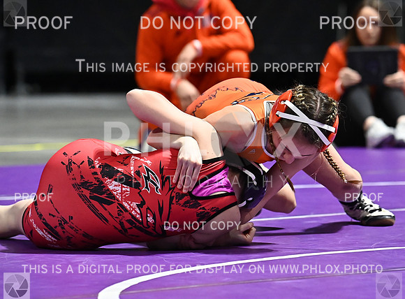 DLS_6073