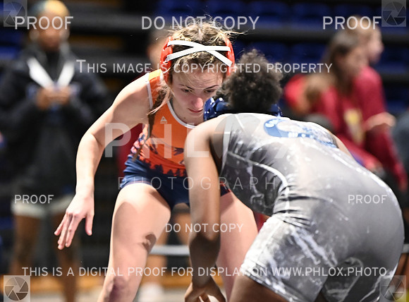 DLS_6746