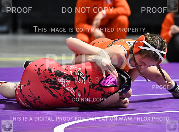 DLS_6074