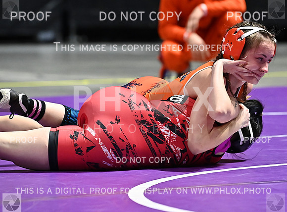 DLS_6076