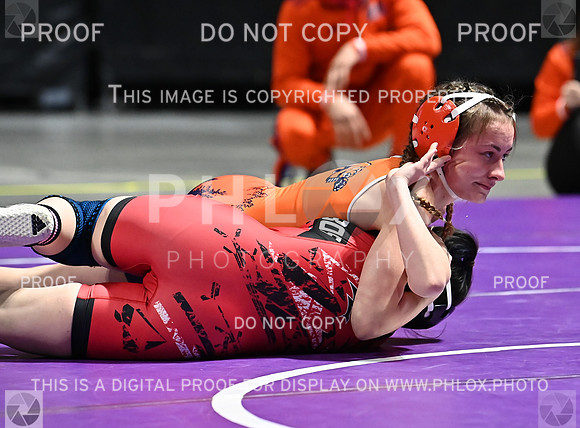 DLS_6077