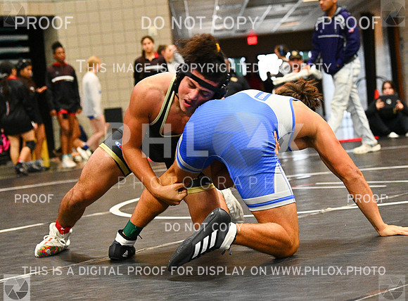 DLS_0235