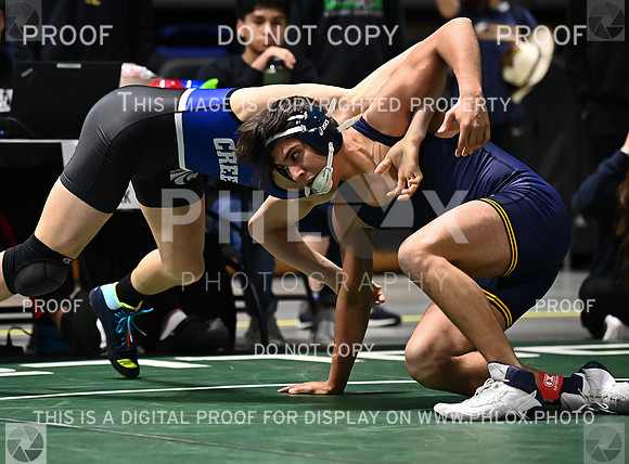DLS_6189