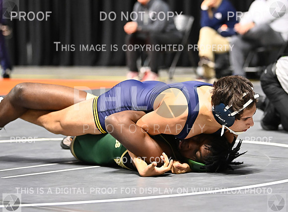 DLS_6634