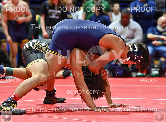 DLS_8642
