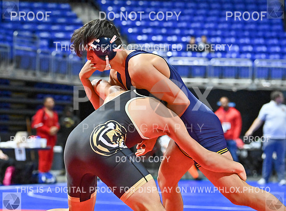 DLS_8621