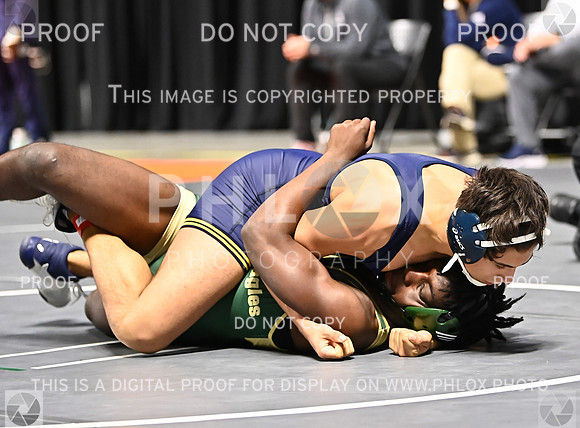 DLS_6633