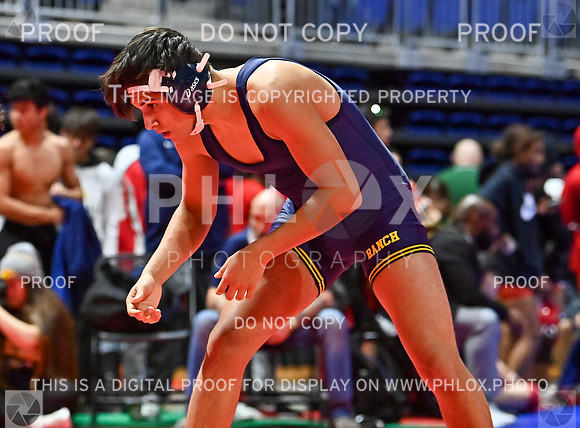 DLS_8630