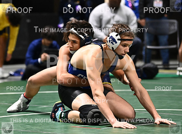 DLS_6209