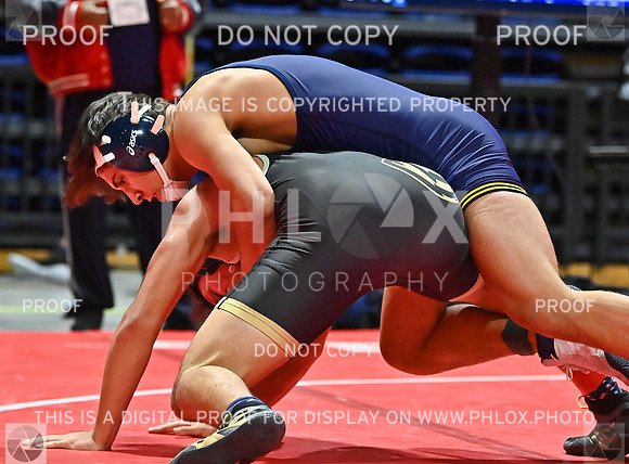 DLS_8653