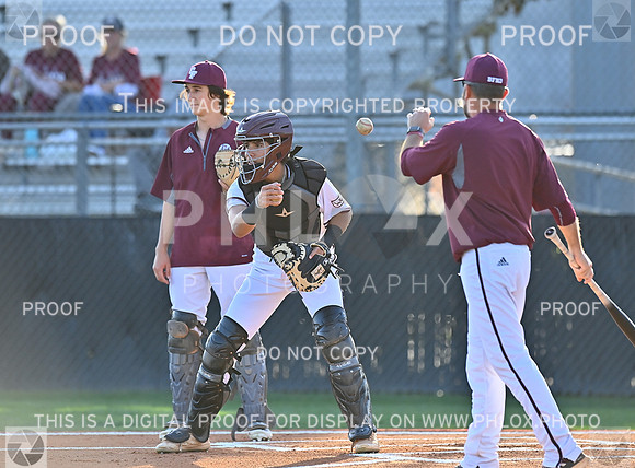 FS6_8129