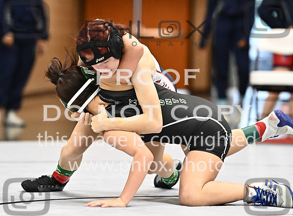 DLS_0502