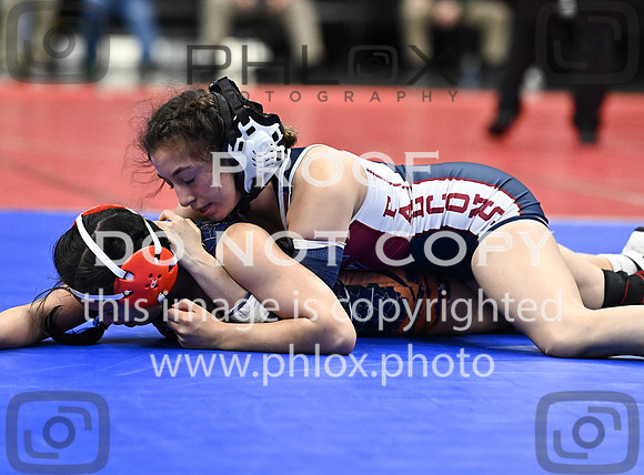 DLS_0535