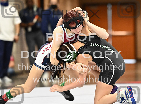 DLS_0501