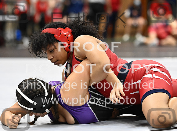 DLS_0507