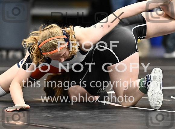 DLS_0515