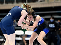 DLS_0487