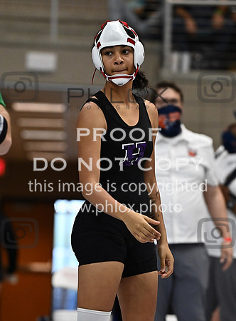 DLS_1142
