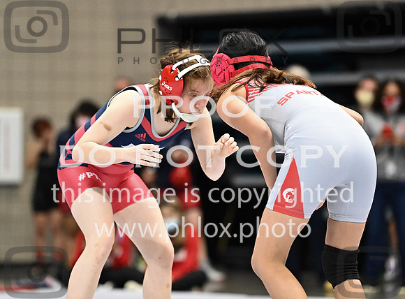 DLS_0473