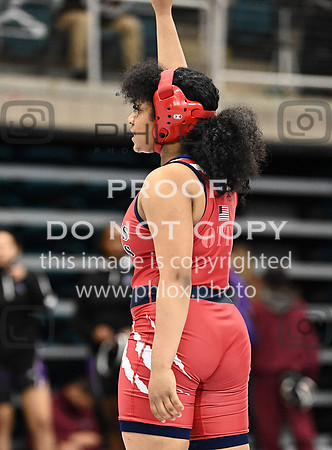 DLS_0509
