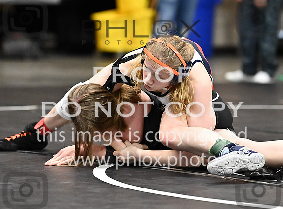 DLS_0536