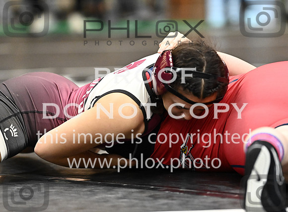 DLS_0505