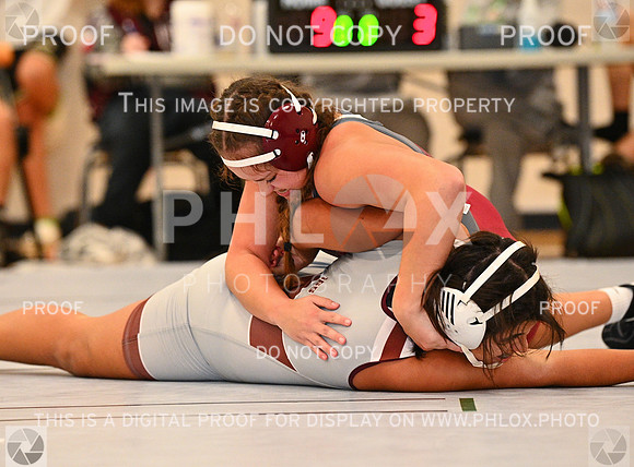 DLS_4952