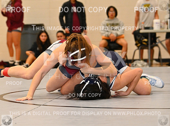 DLS_5017