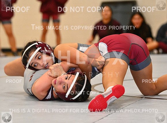 DLS_4986