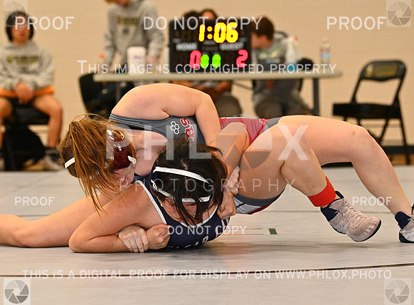 DLS_5019