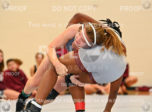 DLS_4923