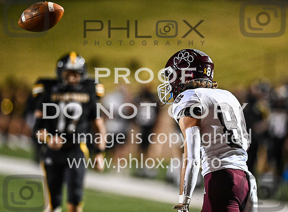 DLS_4796