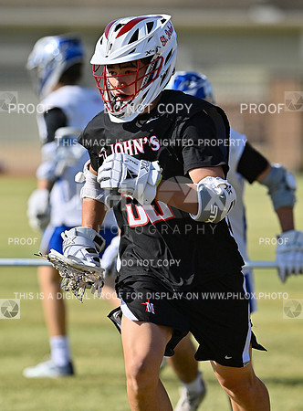 DLS_3836