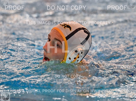 JO6_3979D