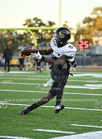 DLS_0967