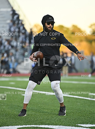 DLS_0962