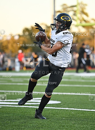 DLS_0993