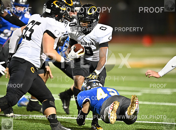 DLS_1319