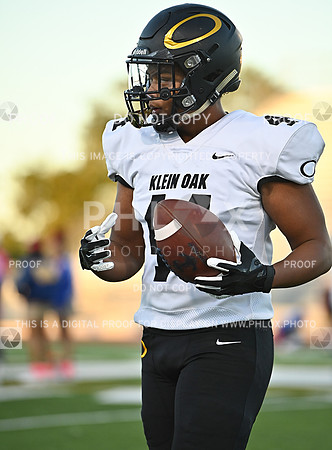 DLS_0947