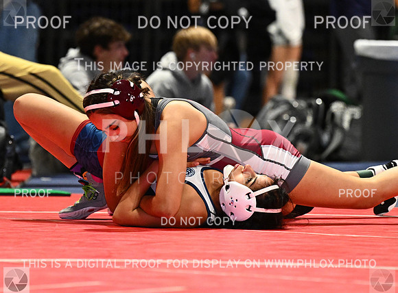 DLS_6608