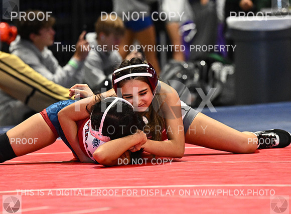 DLS_6623