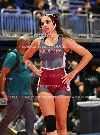 DLS_6601