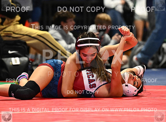 DLS_6613
